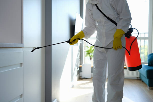 Professional Mold Removal in Southaven, MS